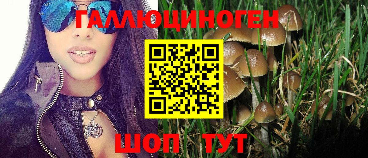 Галлюциногенные грибы MAGIC MUSHROOMS Урюпинск