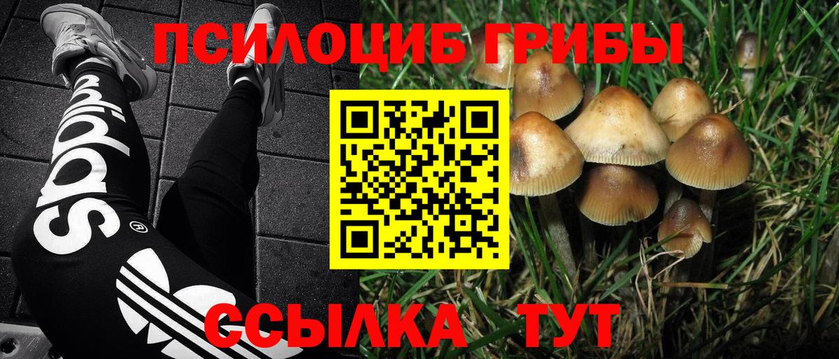 Галлюциногенные грибы GOLDEN TEACHER  Псилоцибиновые грибы Psilocybine cubensis  Вход с VPN  Урюпинск 